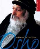 osho a bird on the wing